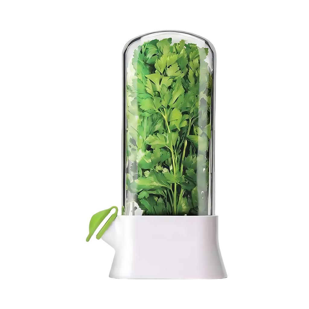 Herb Preserver Extenders Maintains Freshnesses 2 3 Interval Visible Lid Ventilated Bottom Safe for Refrigerator Storage