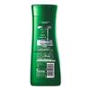 100 Years R&F Plant Amino Acid Silicone-Free Shampoo