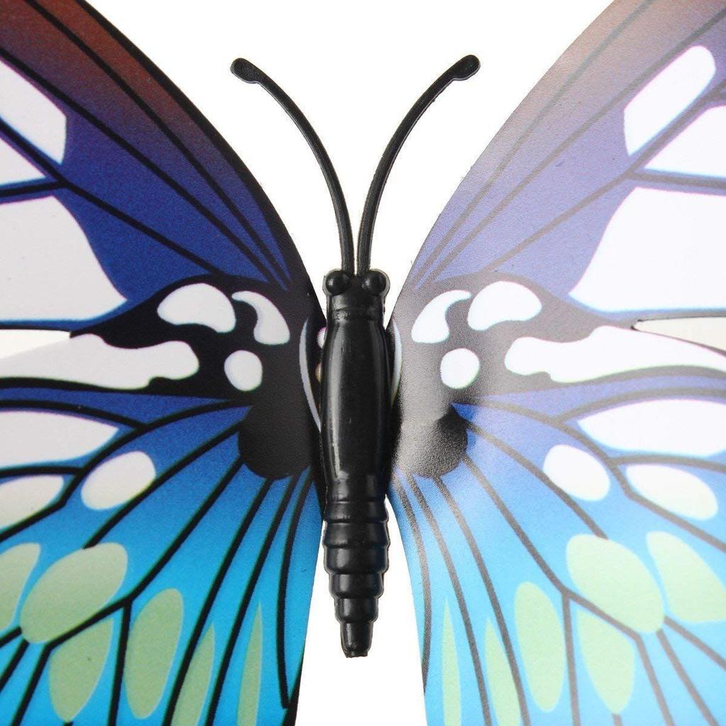Xtore Plastic Reusable Self-Adhesive Wall 3D Home Build Beautiful Butterfly
