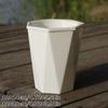 with Clear Saucer Reservoir Plant Pot with Drainage Hole Desktop Plants Pot