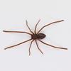1/2Pcs Magnetic 3D Spider Decoration Scary Realistic Giant Spider Halloween Prank Props Garage Door Mailbox Locker Refrigerator Magnet Fake Spider