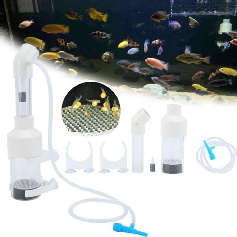 Cichlids Aquarium Fish Fish Tank Supplies Tumbler Incubator Fish Incubator Hatchery Egg Tumbler