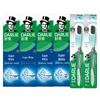 Darlie Whitening Toothpaste & Toothbrush Set