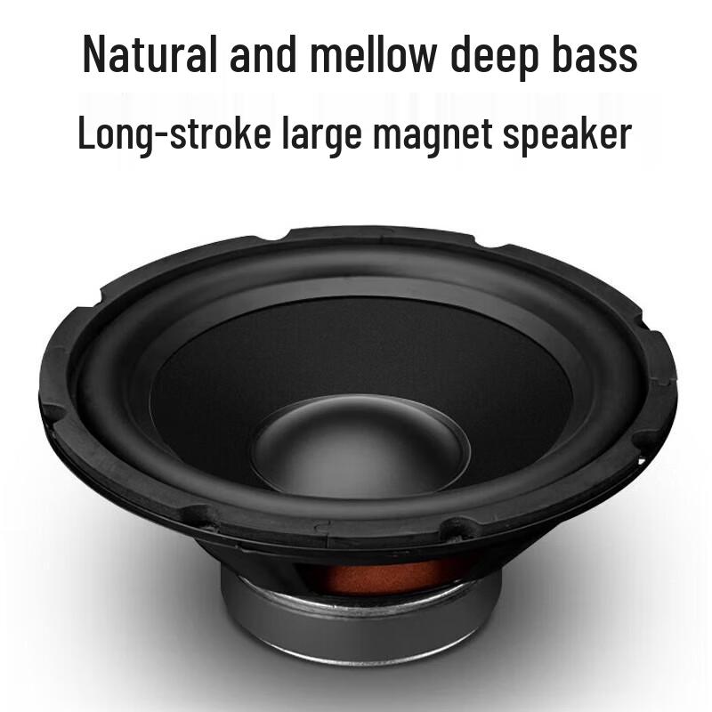 SAST 8-inch In-Ceiling Coaxial Speaker CN plug (adapter included)