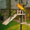 Bird Playground For Cage Natural Wood Parrot Perch Lovebird Cage Ladder Swing Toys For Macaw Cockatiel Wood Parakeet Play