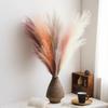 3pcs-Artificial Pampas Grass Simulation Feather Wedding Props Reed Hair Boho Home Decoration