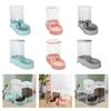 Small Medium Large Pet Feeder Automatic Watering Can Dispenser for Animals