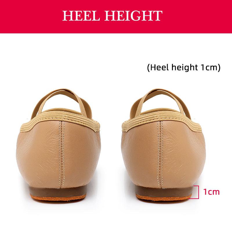 Jazz Dance Shoes Women Ballroom Ballet Teacher Shoes Girl Latin Dance Soft Sole Training Shoes