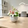 Mini Artificial Jasmine Bonsai Plant With Soft Plastic Leaves For Home Decor And Photography Props