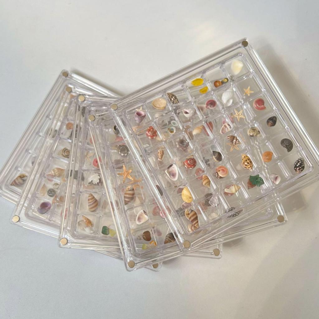 36grids Magnetic Shell Display Box Acrylic Specimen Storage Case Starfish Seaside Stone Container Suitable for Daily Collection