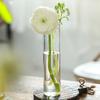 Hydroponics Plants Desktop Glass Planter Vase Glass Vase Transparent Cylinder Flower Vase Bedroom Desktop Home Decoration