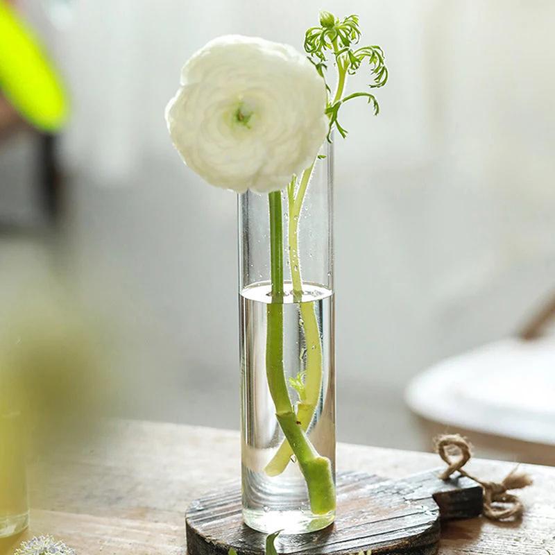Hydroponics Plants Desktop Glass Planter Vase Glass Vase Transparent Cylinder Flower Vase Bedroom Desktop Home Decoration
