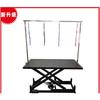 Pet Grooming Table Lift & Rotate Air-Pump Hydraulic Dog Cat Beauty Desk 360° Swivel 80×50 cm Non-Slip Top for Small-Medium Large