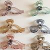 Women's Daily Hair Transparent Big Ribbon Clip