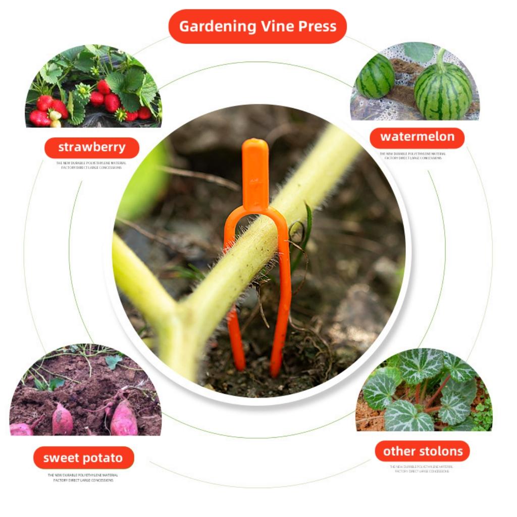 150Pcs Garden Plants Stem Fork Greenhouse Agriculture Vegetable Strawberry Watermelon Vine Planting Fork Plants Bracket 15x66mm