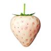 Artificial Strawberry Fruit Decoration Crafted From Solid Materials Ideal For Festival Event Creative Displays And Household Styling Portable