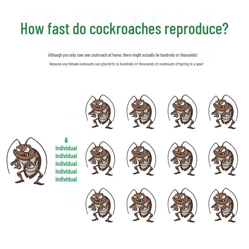 Yukang Cockroach Killer Bait Stations