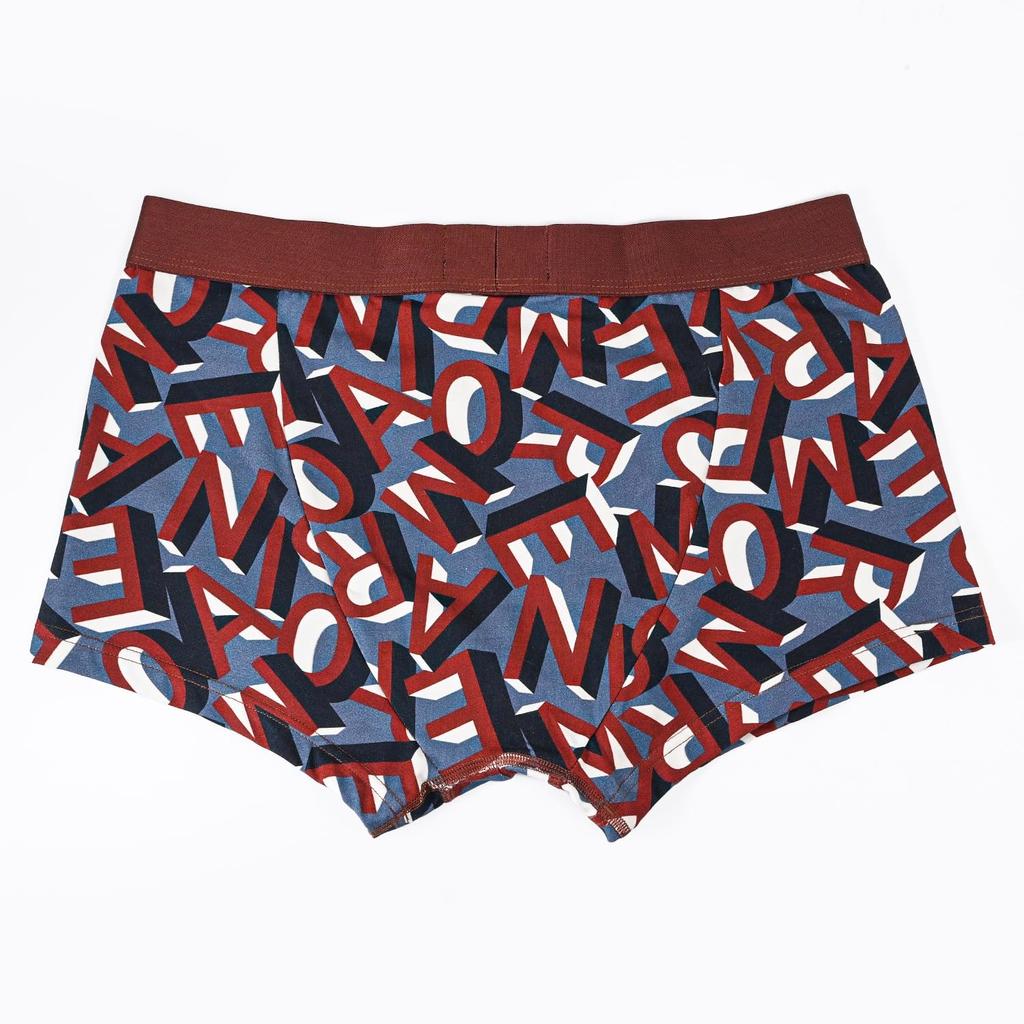 Emporio Armani Men's Boxer Briefs with Logo Print, Size L, Brown and Blue, EM000232, AF10794, FB111, Made In Italy [Parallel Import]