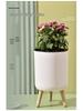Tall Indoor Self-Watering Plastic Planter with Stand - Large Size, Breathable for Balcony Gardening