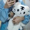 The 40cm cotton doll with the attributes of "Bungo Stray Dog" and "Atsushi Nakajima Moonbeast" is cute and adorable as a gift