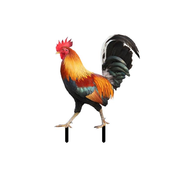 2 Pcs Rooster Chicken Lawn Stakes for Garden, Floor, Lawn, Outdoor Decoration