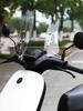 Front Windshield for Ninebot No. 9 Electric Scooter: Compatible with N and M Series