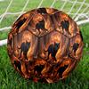 1pc Black Cat Ruins Theme Soccer Ball Football, Size 5, Lightweight PVC, Durable Outdoor Training Soccer Ball, Gift M61444