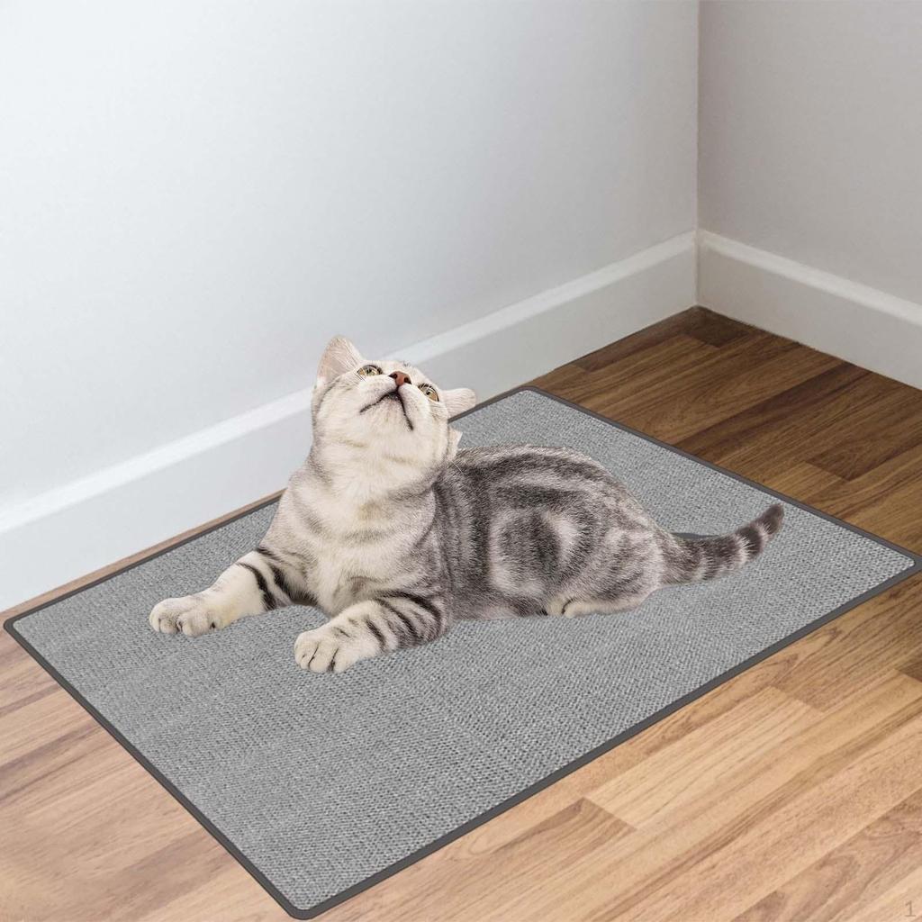 Cat Scratcher Mat Water Bowl Dog Food Dishes Place Kitten Pet Placemats