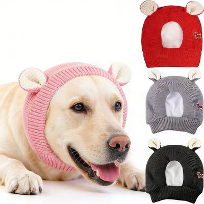 Giyim ve ayakkabı – Köpek için şapkalar
