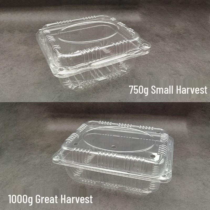Handun Disposable Round Wheat Straw Food Containers