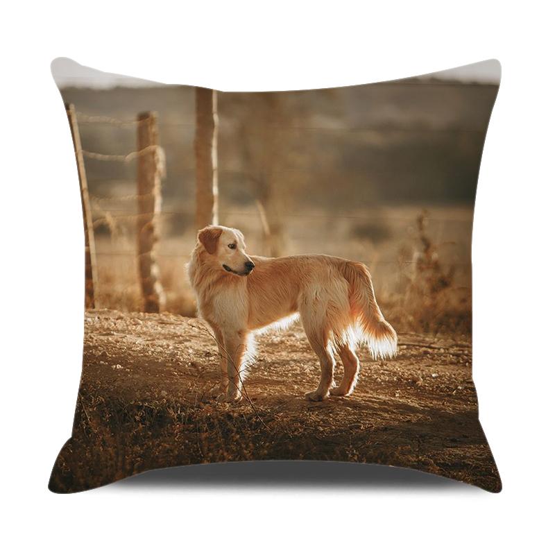 Animals Cushion Cover 18x18 Inches Throw Pillow Case Cow Sheep Donkey Pig Printed Pillow Cover Farmhouse Home Decor Cushion Case