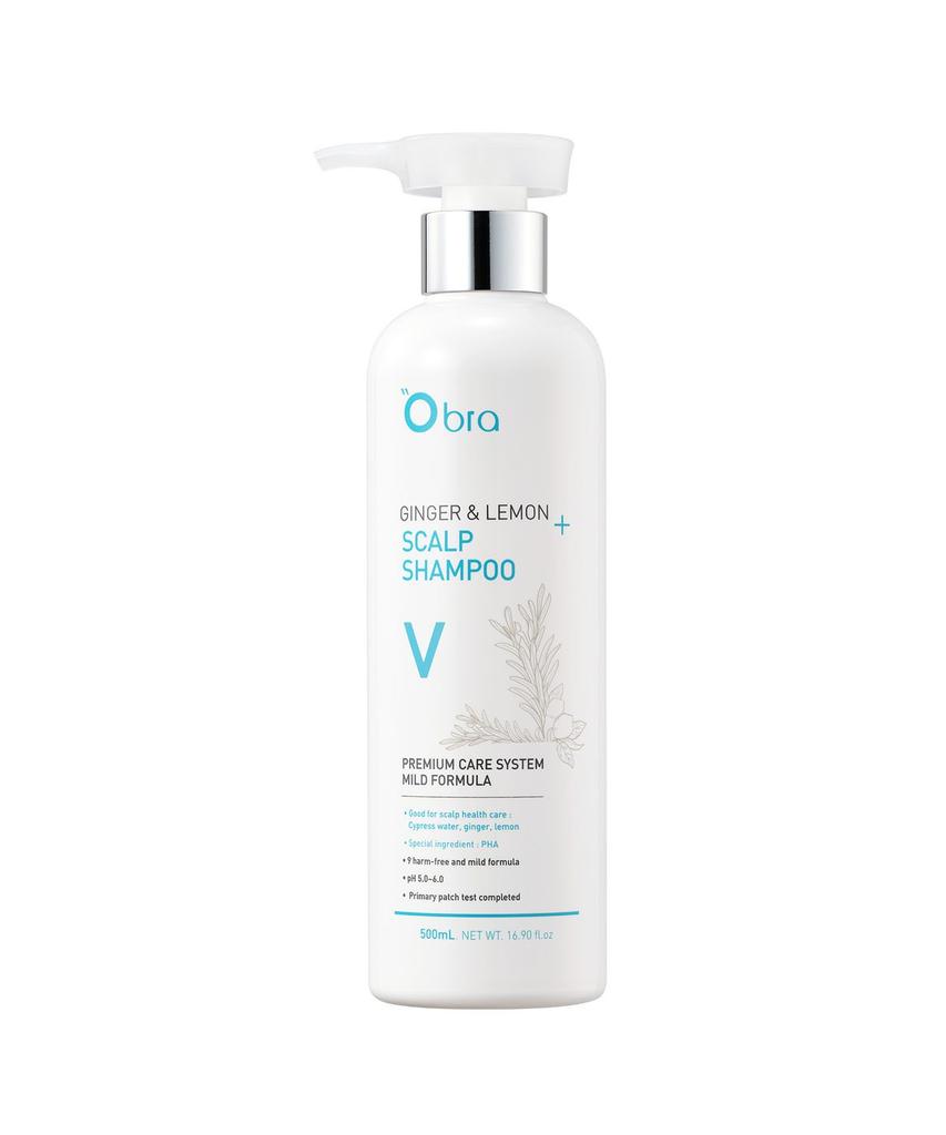 Ingwer & Zitrone Shampoo Volumen 500ml
