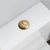 Pulsante per Cassetta di Scarico WC a Muro in Ottone Spazzolato Oro di Alta Qualità 38mm