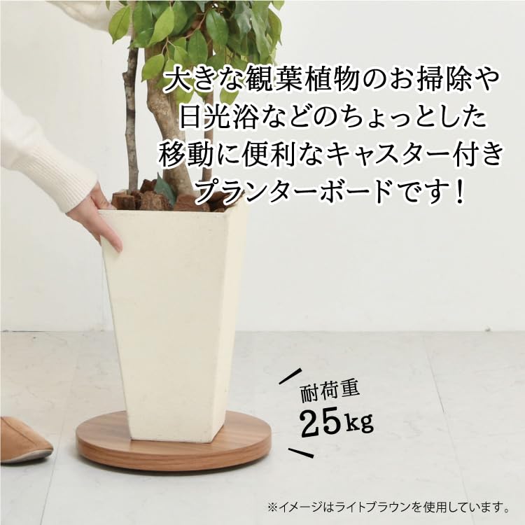 Belca Flower Stand Planter Base with Casters Diameter 30 x Height 3.5cm Gray Round Pot Holder Load Capacity 25kg Movable BB-PB-GY