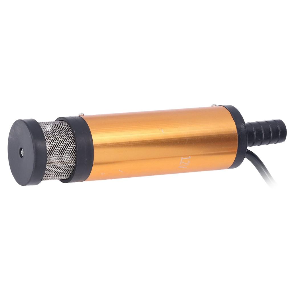Oil Pump Electric Mini Portable with Filter for Water Fuel Diesel Transfer DC 12V 38mm