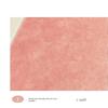 Pink Girl Bedroom Decor Square Carpet Luxury Nordic Carpets for Living Room Large Area Non-slip Cloakroom Rug Washable Floor Mat