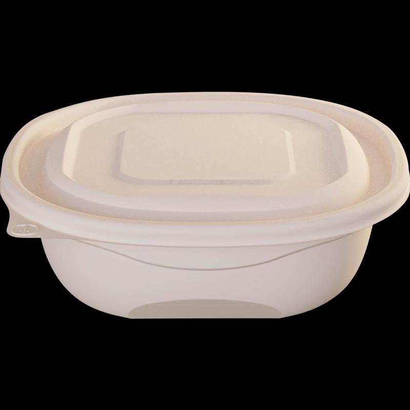 Disposable Corn Starch Takeout Food Containers