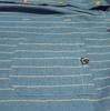 AZENDER Striped Oversized Short Sleeve Shirt Blue