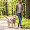 Quick-drying Dog Sun Protection Vest Ice Feeling Fabric Pet Sunscreen Clothes  Pet Cats