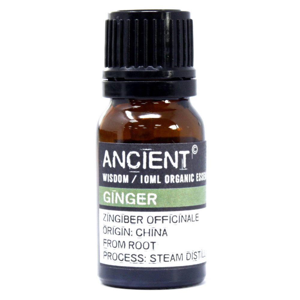 Ginger Essential Oil Organic, 10ml