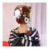 BRIHADOS Dried Flower Red Hair Accessory for Yukata, Coming-of-Age Ceremony, Hakama, Graduation, Japanese Kimono, Chrysanthemum, Hydrangea, Baby's