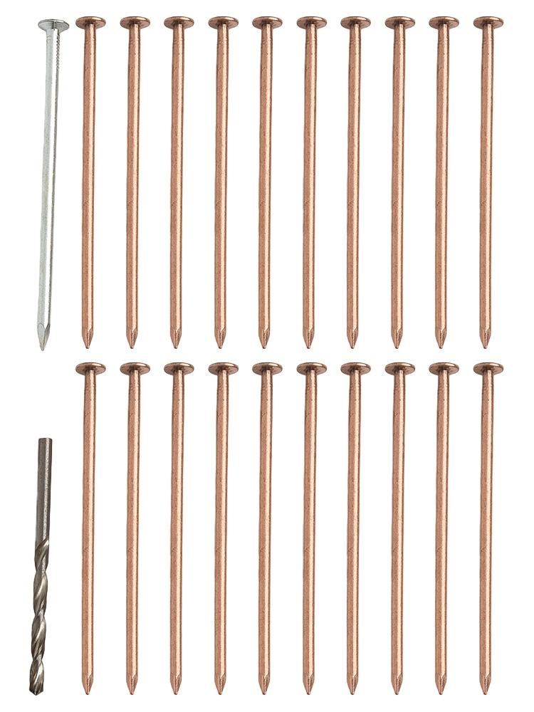 Baumtöter Kupfernägel 4 Zoll Länge für effektive Stubben- und Wurzelbehandlung