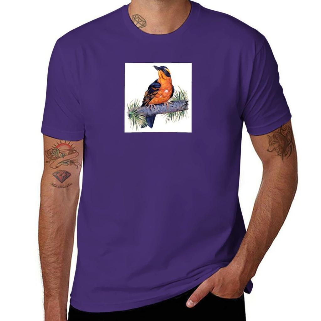 Birds In Hell TShirt Short sleeve tee aesthetic clothes mens graphic tshirts anime
