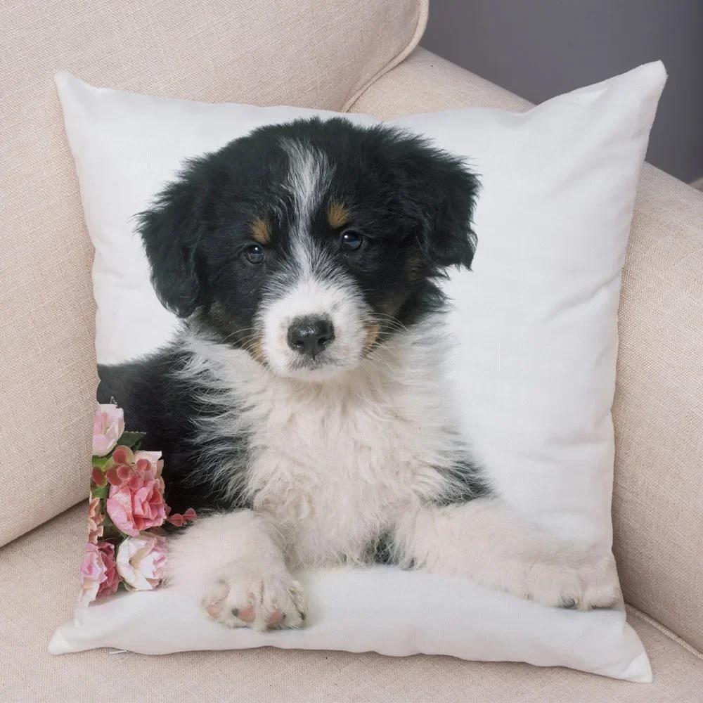 Sofa Home Kids Room Pillowcase Cute Australian Shepherd  Decoration Pet Animal Cushion, 30x30cm