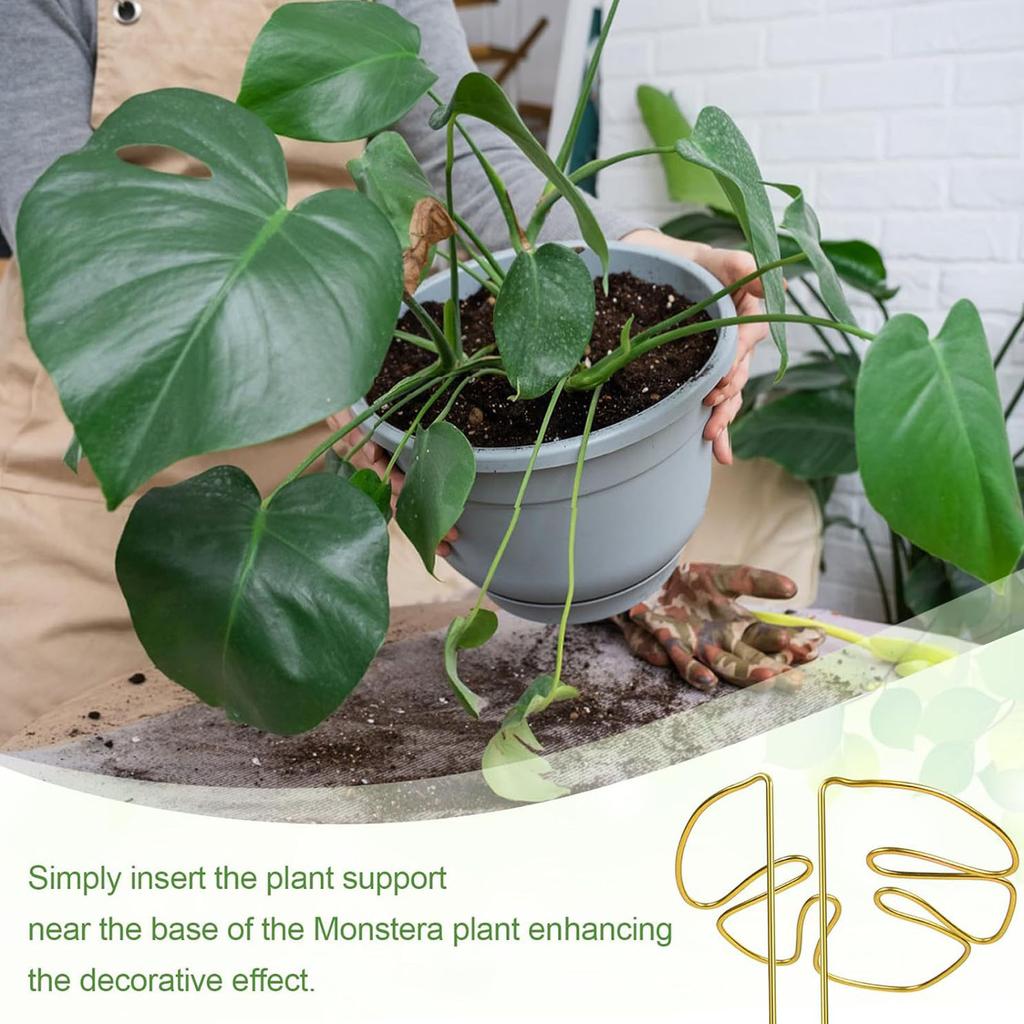 Indoor Plant Trellis for Climbing Plant Small Garden Trellis for Decorative Potted Plant Outdoor Flower Plant Support