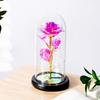Romantic Rose Forever Flower In Dome Led Light Valentine Day Birthday Gift Decor