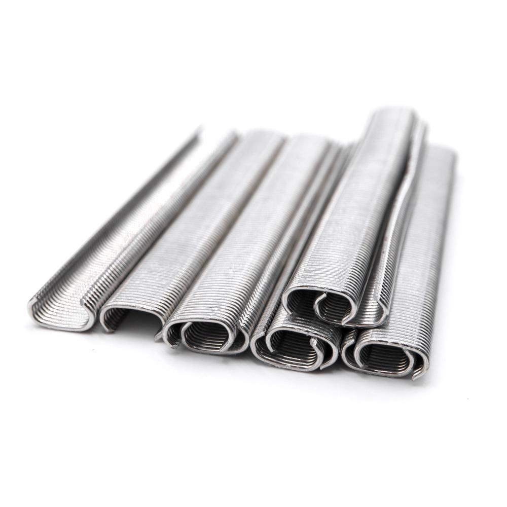 Stainless Steel C-type Nails for Animal