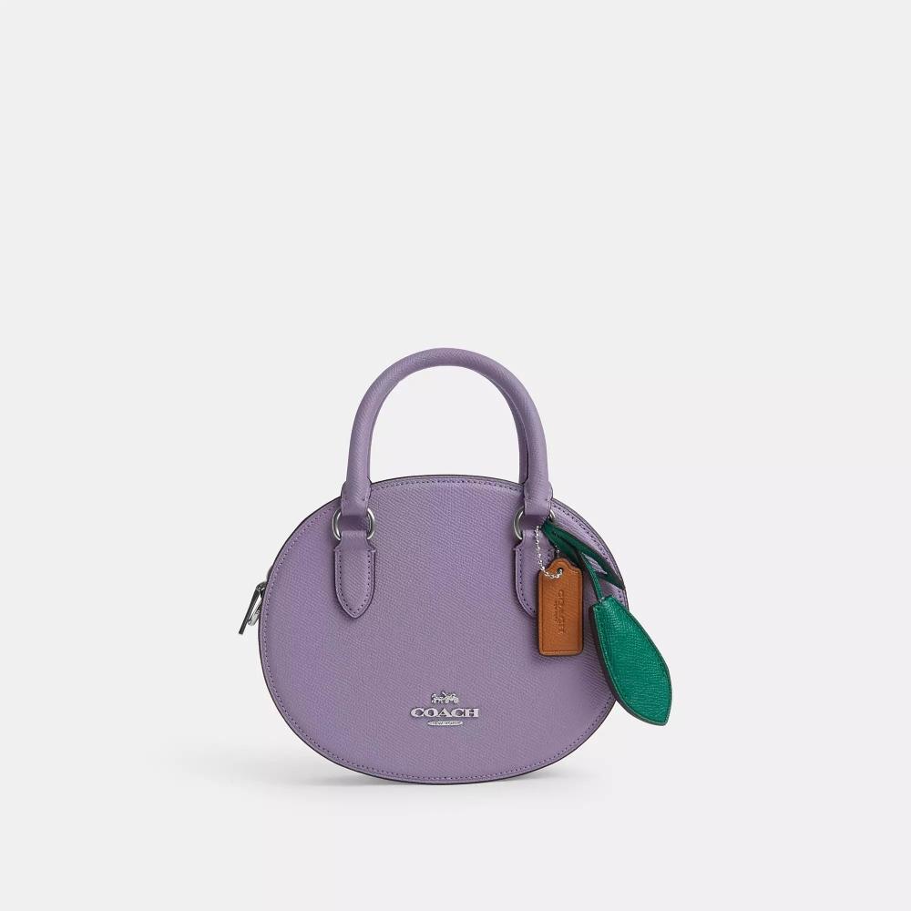 

Coach Blueberry Crossbody silver light violet