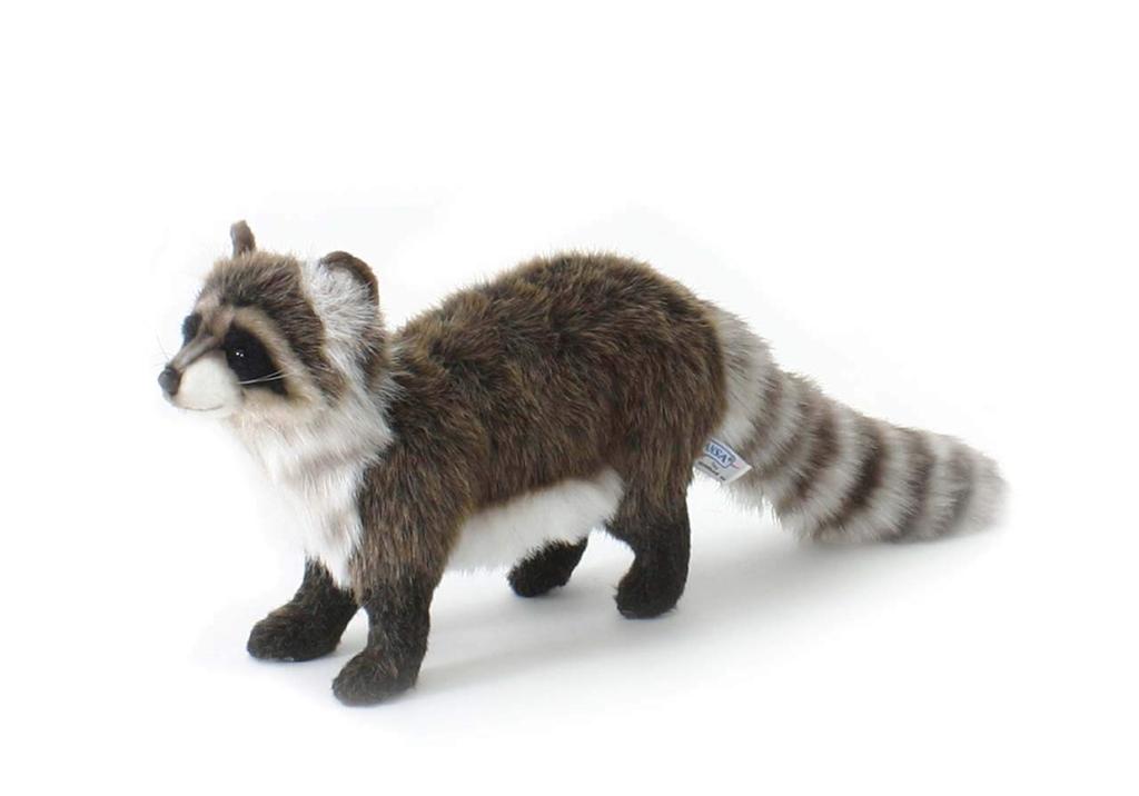 Raccoon No.5238