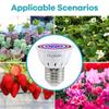LED Plant Grow Light Bulb E27 Full Spectrum GU10 Hydroponic B22 Seeding Cultivation Lamp MR16 Succulent E14 Growth Lighting 220V